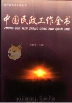 中国民政工作全书 中 1999 PDF电子版封面 7504334243 全根先主编