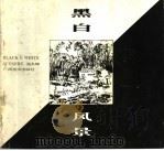 黑白风景 1996 PDF电子版封面 7806250352 张冬峰作