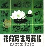 花的写生与变化 1985 PDF电子版封面 8373·326 何志本编绘