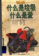 什么是垃圾 什么是爱 1998 PDF电子版封面 7539911727 朱文著