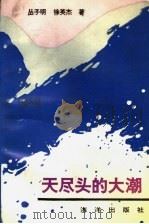 天尽头的大潮   1991  PDF电子版封面  7502715150  丛子明，徐英杰著 