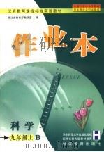作业本  科学  B  九年级  上（ PDF版）