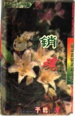 销魂（1997 PDF版）