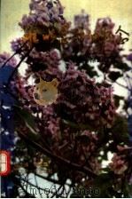 难以忘却的怀念:焦裕禄回忆录 1992 PDF电子版封面 7810188615 化汉三主编