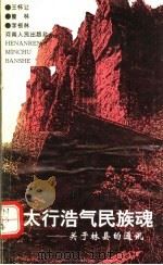 太行浩气民族魂 关于林县的通讯 1993 PDF电子版封面 7215025691 王怀让等著