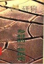 乡村的一些形式 1994 PDF电子版封面 780538598X 马新朝著