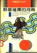 群星璀璨的河南 1994 PDF电子版封面 7535010482 共青团河南省委编