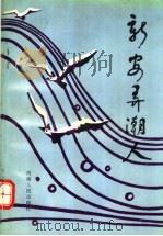 新安弄潮人 1984-1994 1995 PDF电子版封面 7215034232 阎景龙主编
