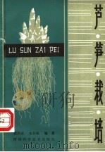 芦笋栽培 1984 PDF电子版封面 16245·123 梁洪斌,李开端编著