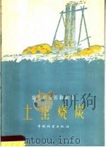 土窑烧炭（1959 PDF版）