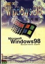 中文Windows 98实用操作 1998 PDF电子版封面 7534921856 刘瑞新主编