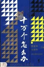 十万个怎么办  1   1988  PDF电子版封面  7504805416  成曾樾，张新亭主编 