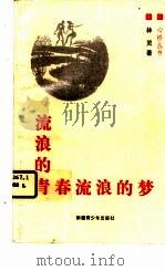 流浪的青春流浪的梦（1996 PDF版）