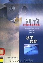 冰下的梦 1999 PDF电子版封面 7535529488 王晓达著