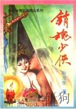 销魂少侠（ PDF版）