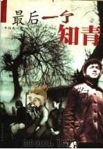 最后一个知青 1998 PDF电子版封面 7532916243 牛伯成著