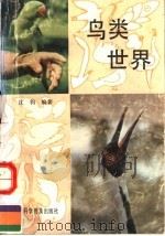 鸟类世界（1991 PDF版）