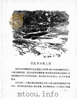 苏联飞行员的故事 1957 PDF电子版封面 R10024·1417 (苏联)姆·别拉霍娃著;冯汉军译