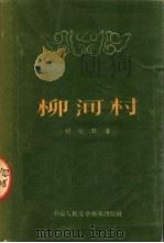 柳河村 1953 PDF电子版封面 胡北野著