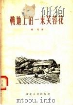 战地上的一束芙蓉花   1955  PDF电子版封面  280·787  齐克著 