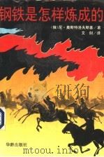 钢铁是怎样炼成的   1995  PDF电子版封面  7800825191  （俄）尼·奥斯特洛夫斯基著；文剑译 