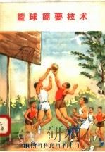 篮球简要技术 1958 PDF电子版封面 7015·676 人民体育出版社编