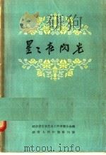 星星在闪光 1957 PDF电子版封面 10109·106 湖南省文学艺术工作者联合会编