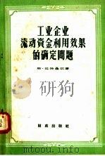 工业企业流动资金利用效果的确定问题 1958 PDF电子版封面 4066·73 斯·拉特聂尔著;乌家培译