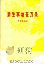 新生事物花万朵 革命歌曲集 1976 PDF电子版封面 8105·659 开封市文化馆编