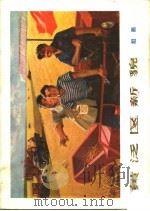 黄泛区新貌 组画 1973 PDF电子版封面 8105·392 西华县文化教育局,杭州市美术工作团供稿