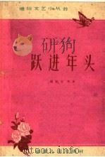 跃进年头 小小说 1960 PDF电子版封面 T10104·249 姚鼎生等著