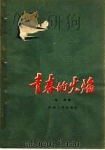 青春的火焰 1961 PDF电子版封面 T10105·528 马威著