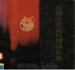 孙振华西藏风情摄影集 1988 PDF电子版封面 7539800719 孙振华摄