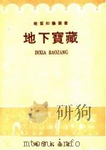 地下宝藏   1958  PDF电子版封面  T13038·275  （苏）布勃列尼科夫（Х.Д.Бублейников）著；方景 