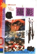 摄影 1994 PDF电子版封面 7532036197 金问禔,山豆编著