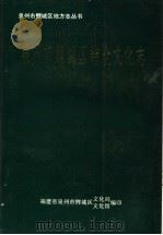 泉州市鲤城区群众文化志（1995 PDF版）