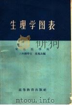 生理学图表 1959 PDF电子版封面 13010·641 安徽医学院,三年级学生宋兆友编