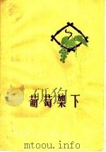 葡萄架下（1960 PDF版）