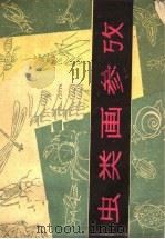 虫类画参考 1960 PDF电子版封面 T8081·4792 沈影泉,沈自强编绘