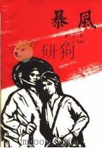 暴风   1963  PDF电子版封面  10020·1657  （越）素友著；罗尔庄等译 