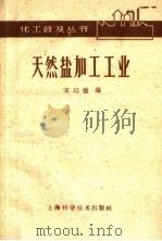 天然盐加工工业 1959 PDF电子版封面 15119·1345 宋廷恺编