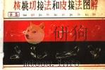 核桃切接法和皮接法图解（1960 PDF版）
