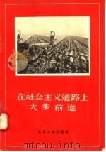 在社会主义道路上大步前进   1956  PDF电子版封面    北京大众出版社编 