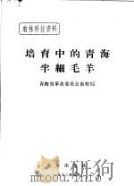 培育中的青海半细羊毛（1972 PDF版）