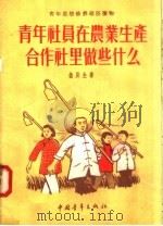 青年社员在农业生产合作社里做些什么 1956 PDF电子版封面 曲辰生著