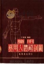 简明艺用人体解剖图  第4版（1953 PDF版）
