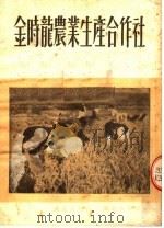 金时龙农业生产合作社 第2版 1952 PDF电子版封面 孔庆学编