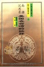 南疆沉思录  美国在台湾的抉择   1994  PDF电子版封面  7534804116  曹胜强，张桂华，张峰著 