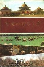 可爱的鄂尔多斯   1985  PDF电子版封面  3089·211  本书编委会编 