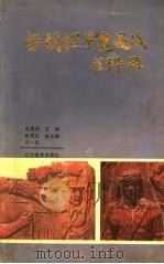 柴胡栏子遭遇战   1991  PDF电子版封面  7538215050  赵建国主编 